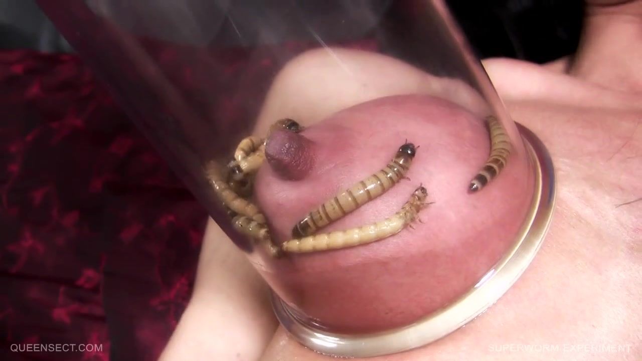 Worms Inserting In Pussy Porn - Worms Pussy Torture | BDSM Fetish